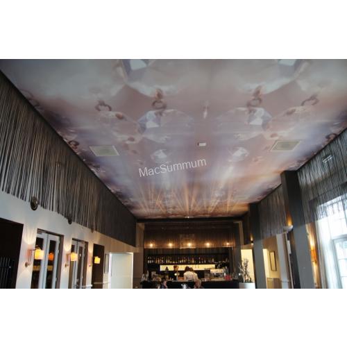 Plafond behangen met Wallrex